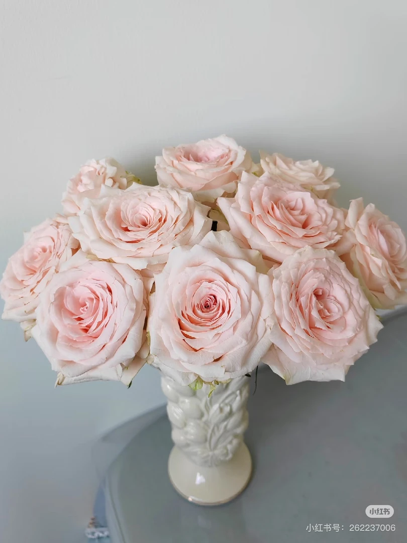 双鱼座单头玫瑰20支鲜花两单顺丰冷链包邮