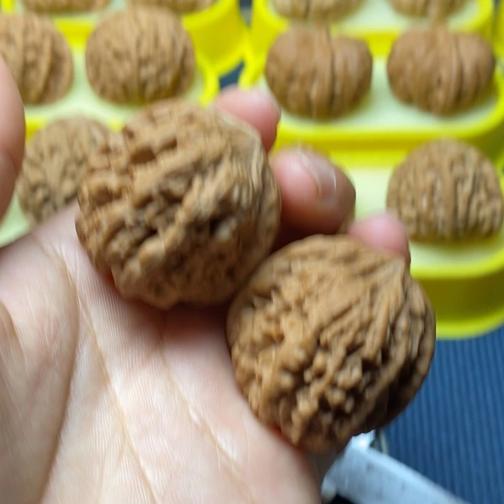 文玩核桃全品凹底37