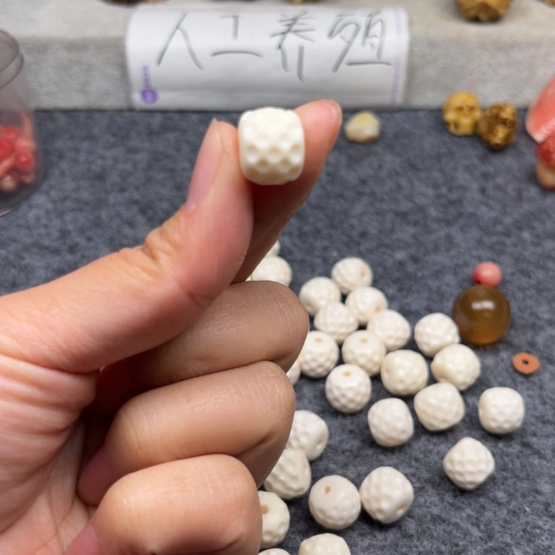 鹿骨其他人工养殖驼骨37
