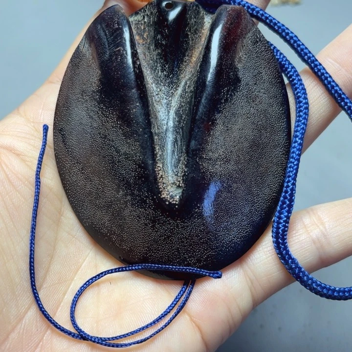 大果紫檀（缅甸花梨）