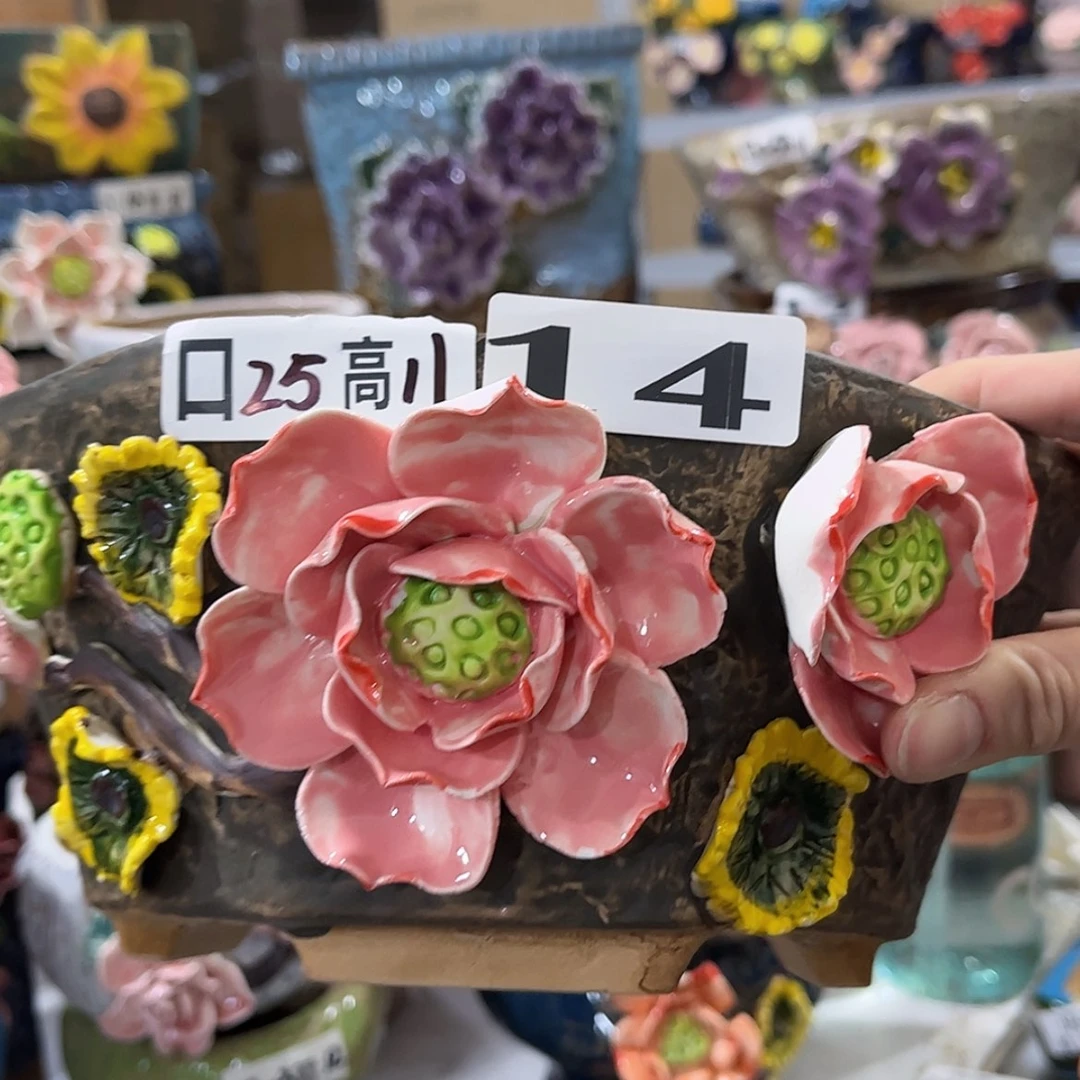 【闪购商品】红陶福利