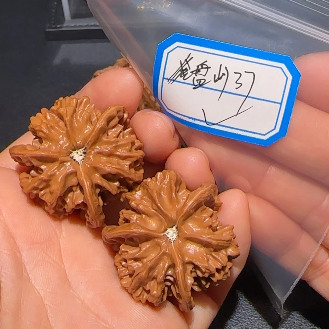 _***文玩核桃吊坠飞飞飞飞飞飞