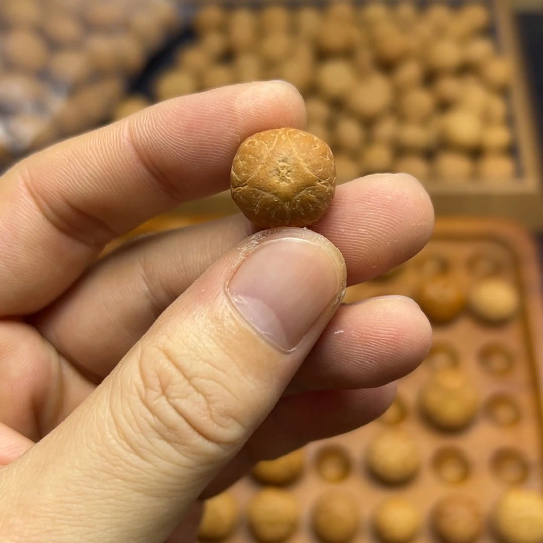 凤眼菩提手串15.7麒麟眼三通
