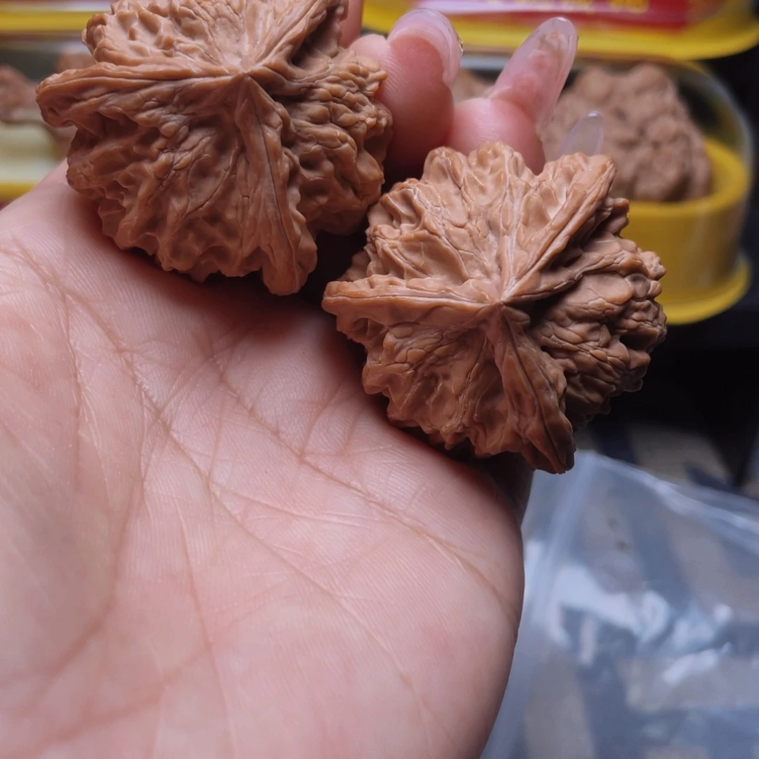 核桃41盘山公子帽三棱