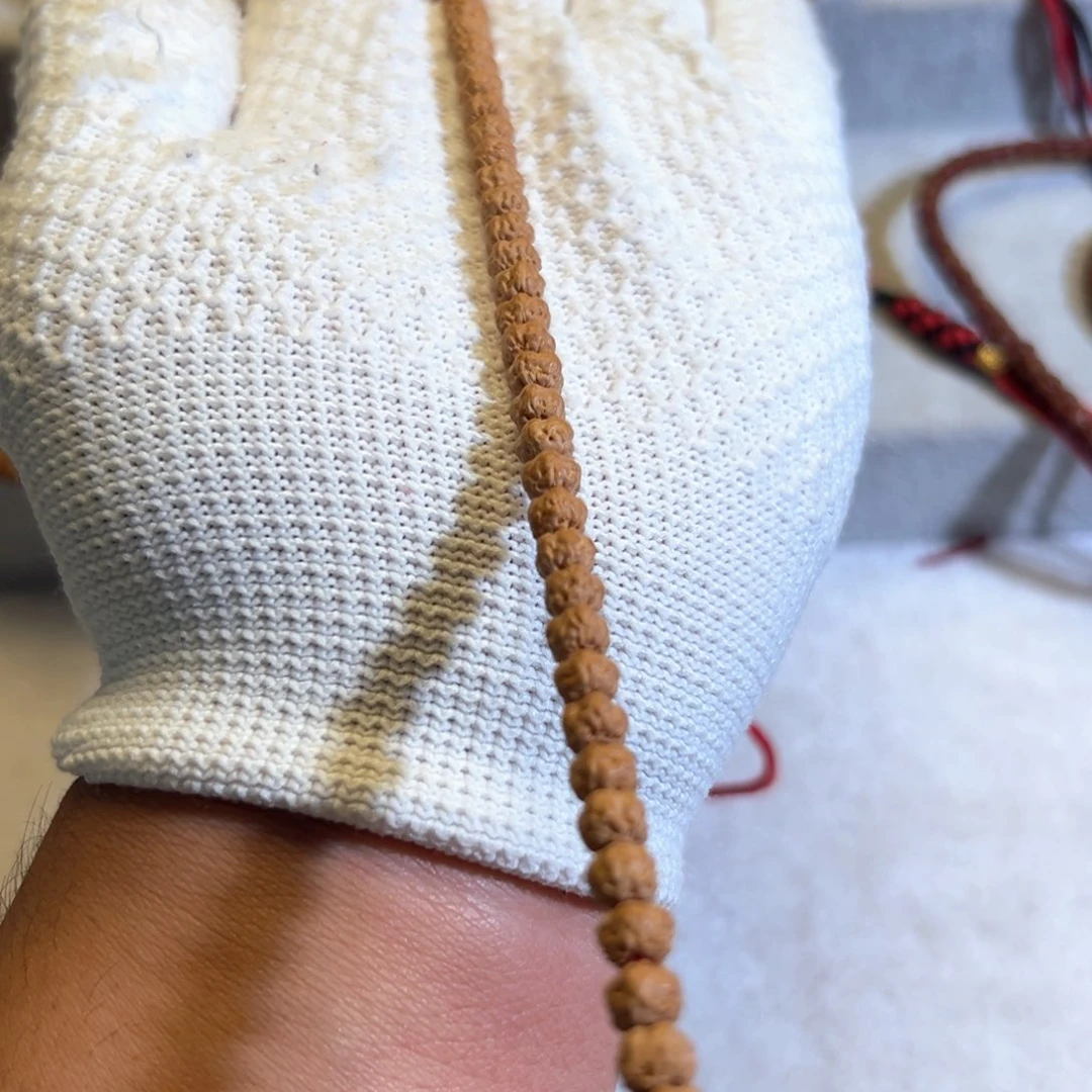 龙*五爪金龙，原装佛手小金刚