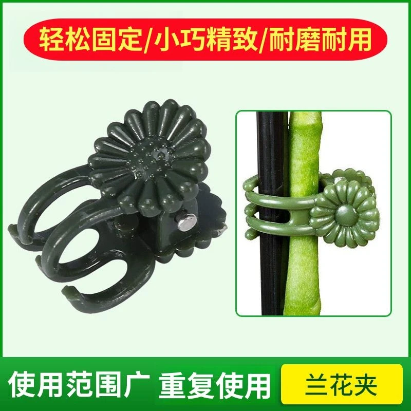 植物绿植固定夹爬藤固定夹塑料夹子蝴蝶兰专用兰花藤蔓花卉卡子