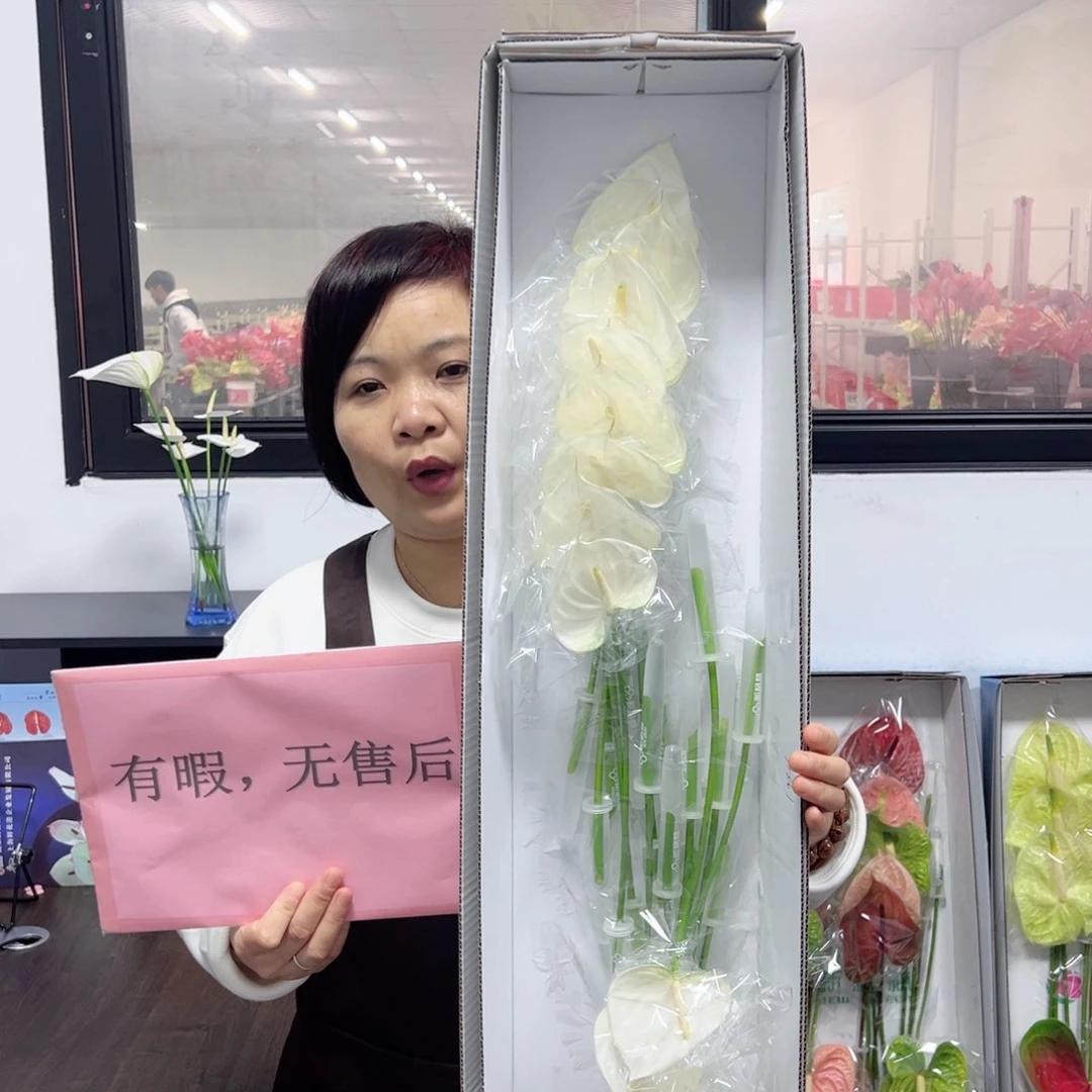 完全开放耳语-16枝装无售后款！