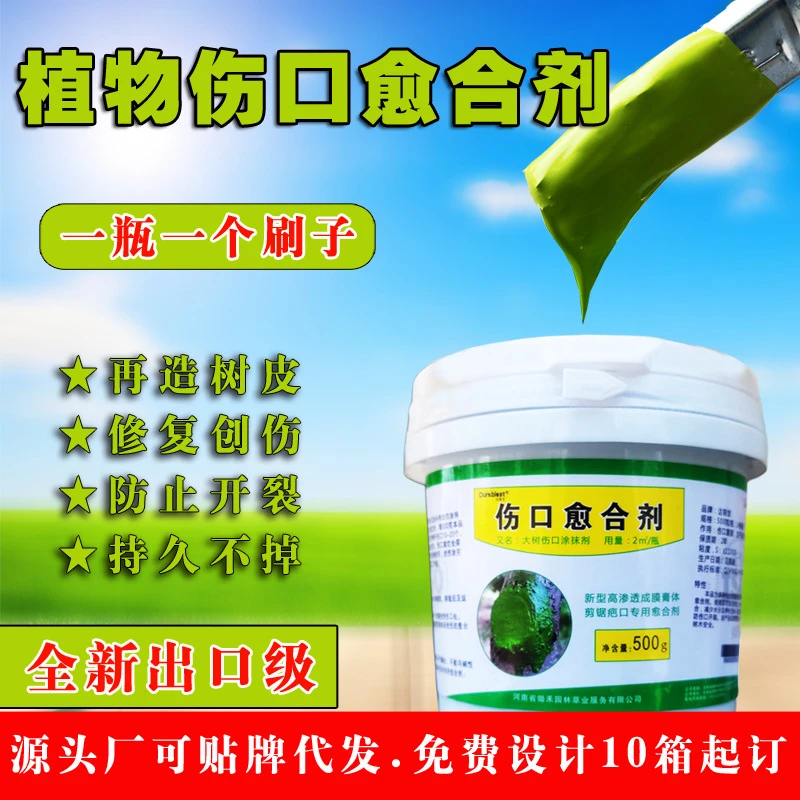 大树伤口涂膜剂果树创伤愈合剂人造树皮植物嫁接涂补剂树木愈合膏