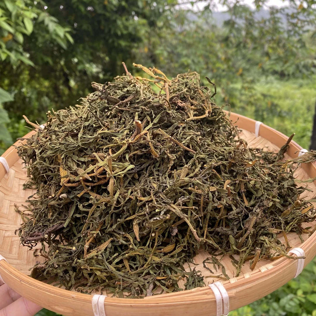 2024年（茶树寄生螃蟹脚）翠绿级