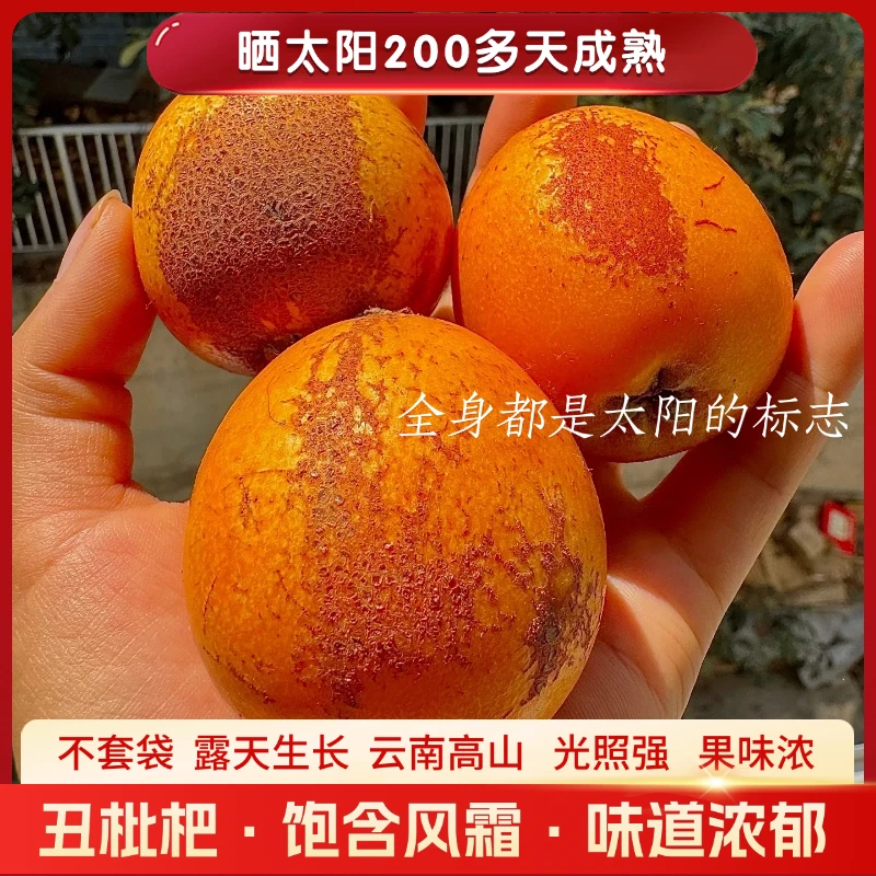 四川汉源高山丑枇杷不套袋鲜果露天产地直发新鲜采摘顺丰五斤包邮