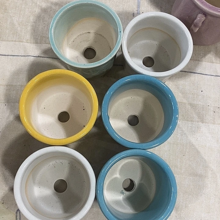 花盆抢购清货马上开始