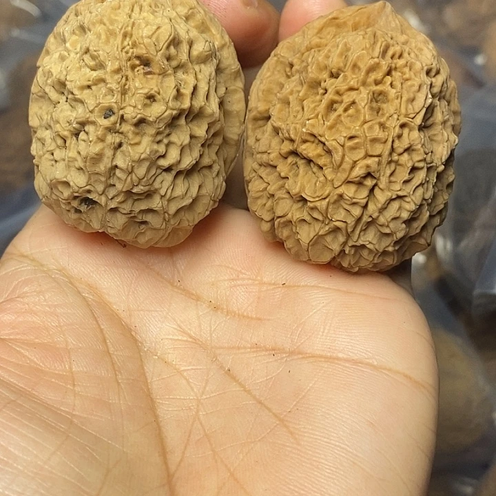 把件文玩核桃云南铁核桃47