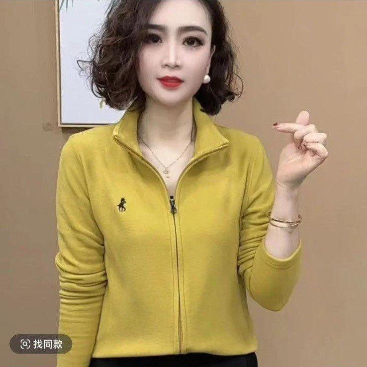 纯色长袖刺绣法式T恤立领修身百搭短款时尚春秋季春季运动宽松