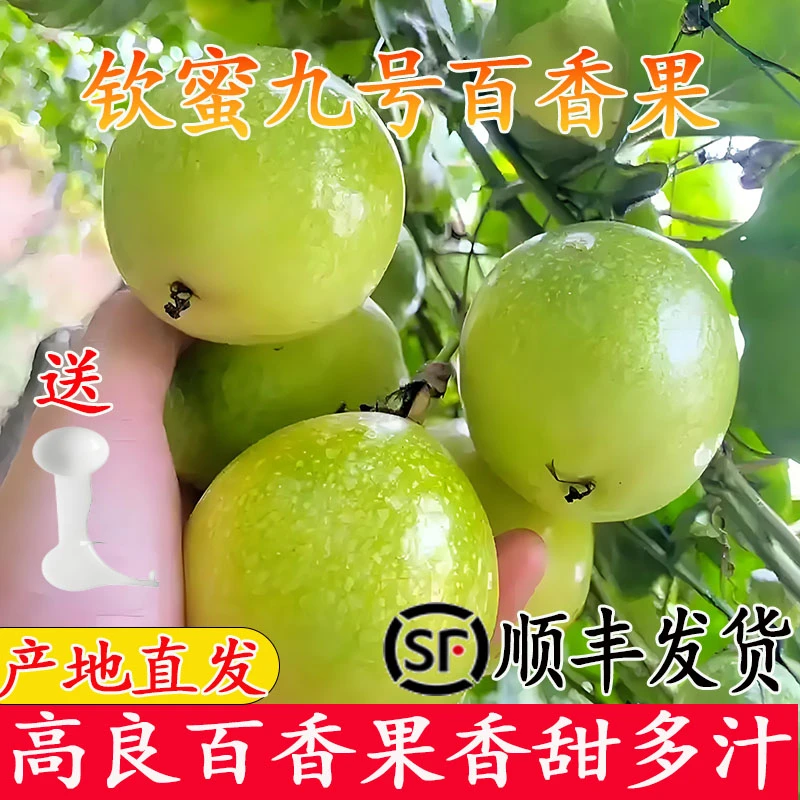 云南黄金百香果直发水果黄金钦蜜9号纯甜新鲜榴莲蜜产地直发抖音