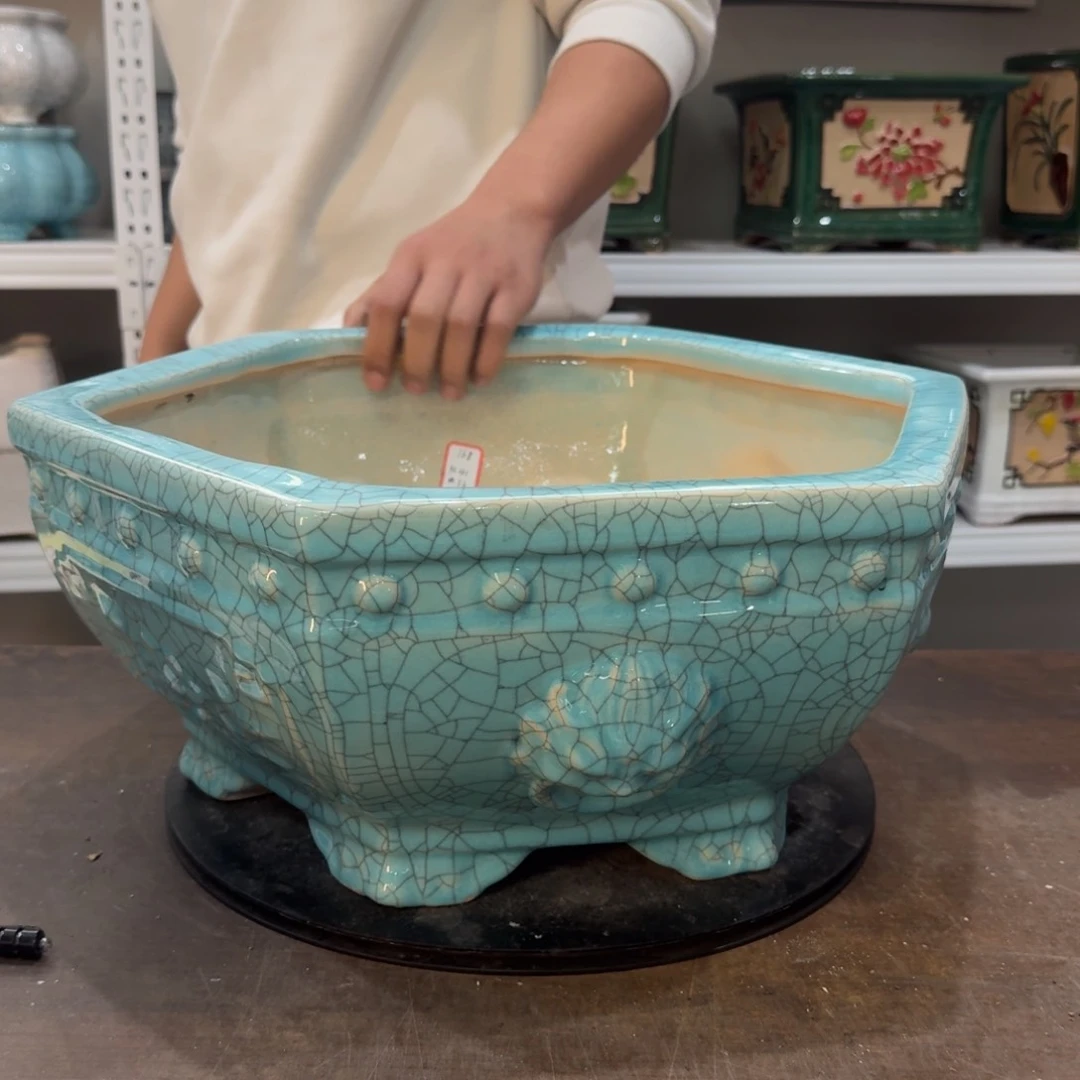 红陶2**72222222222222