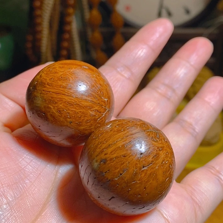 野生三瓣脑纹大金刚光珠