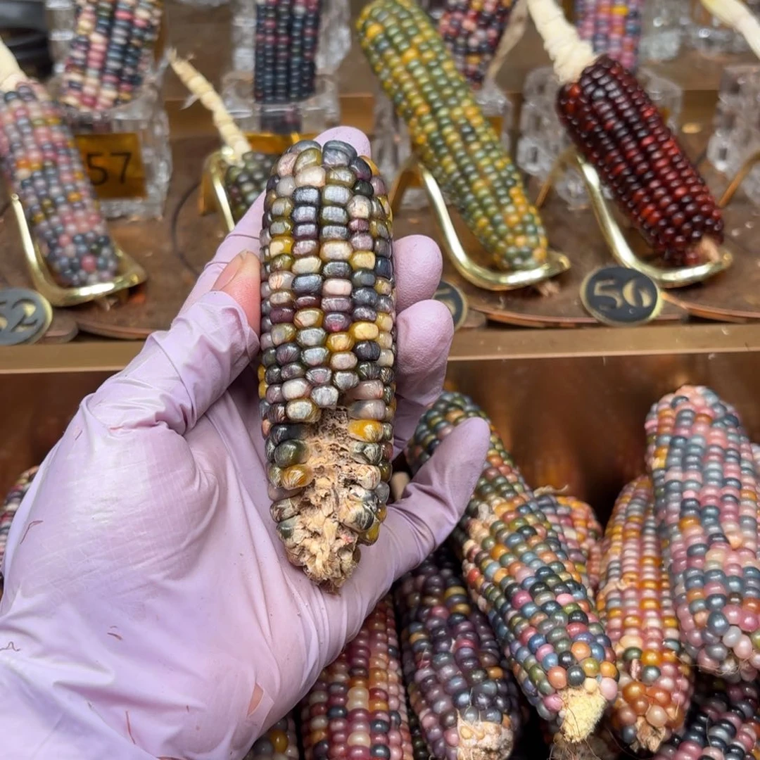 柏香籽/百香籽吊坠七***时