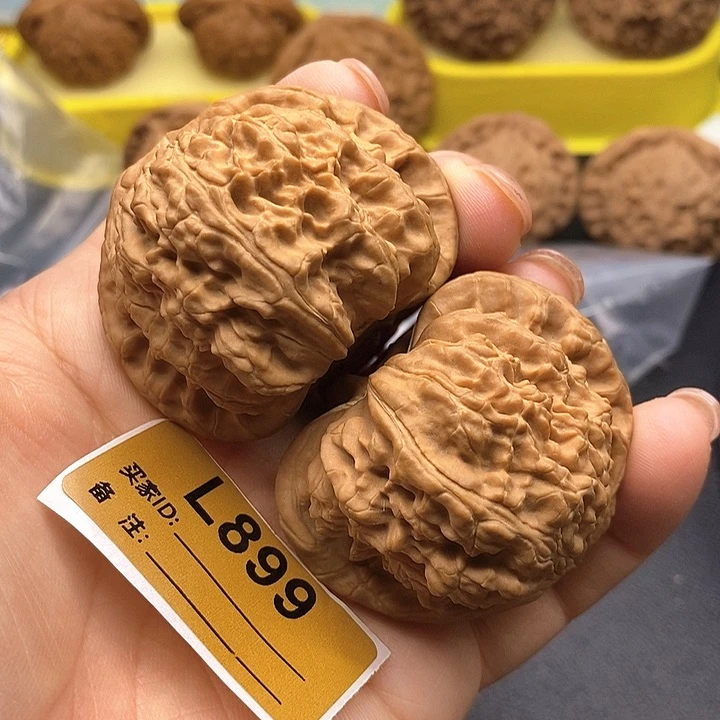 文玩核桃把件白狮4.8