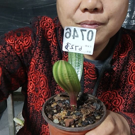 余***成完全开放07640764