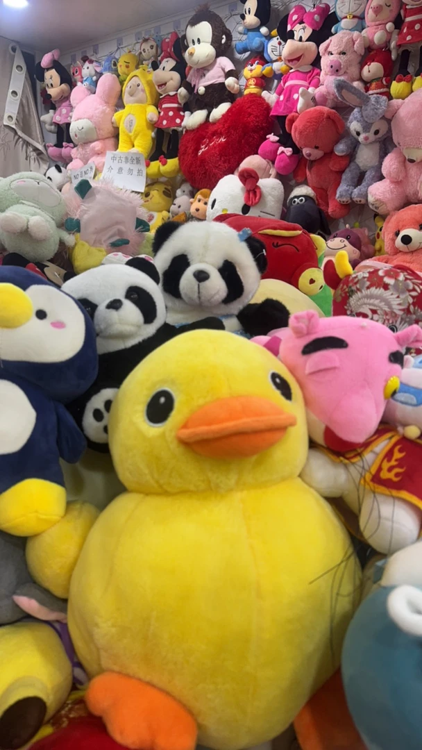 中古毛绒玩具哦，微脏微瑕，NO退NO换，介意勿拍。
