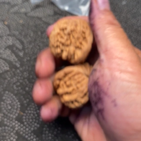 文玩核桃把件西楼15米