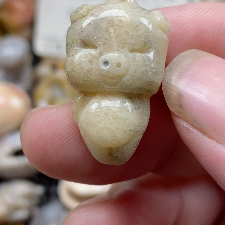 颈饰未镶嵌硅化珊瑚（珊瑚玉）有瑕 小