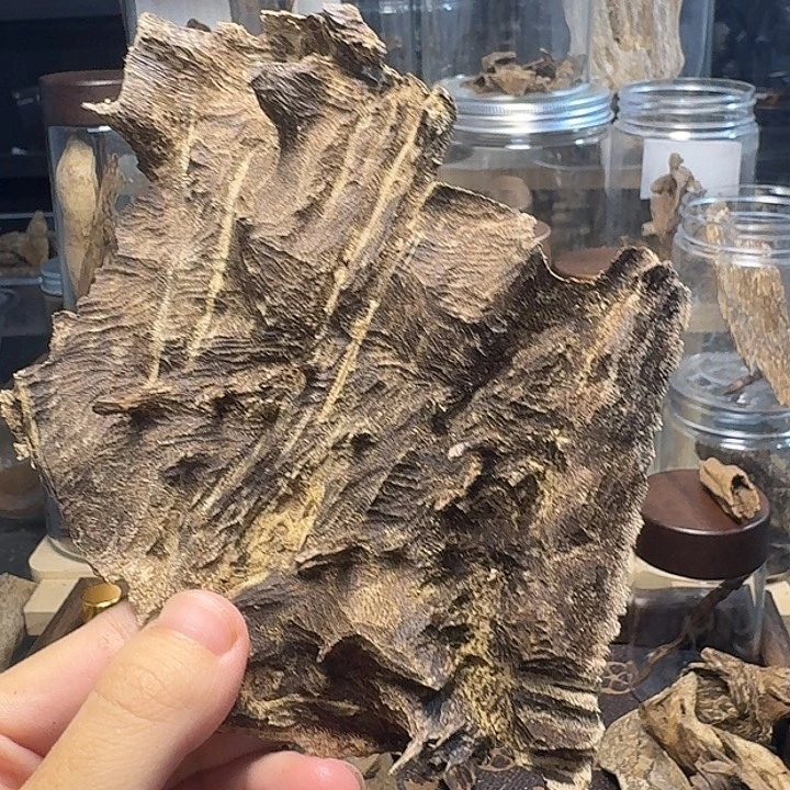 沉香沉香枕香港沉香料子