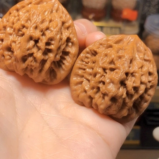 精品野生：金公子