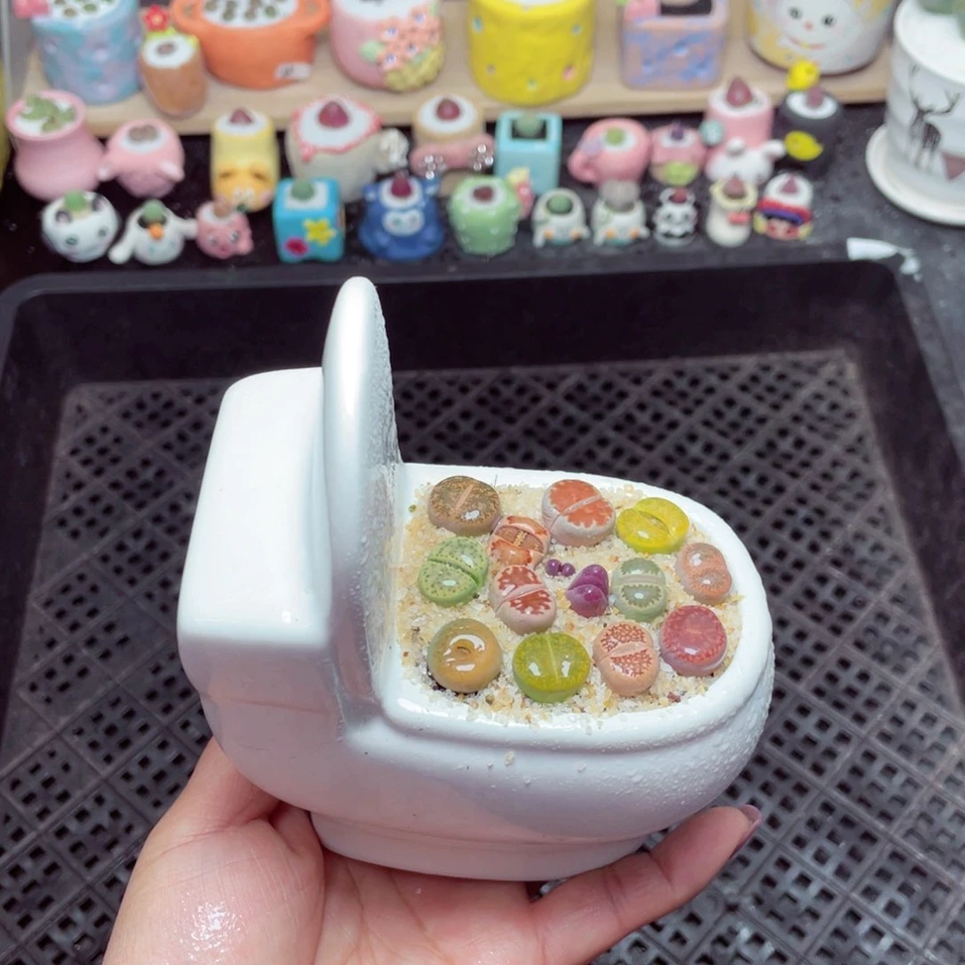 w9234 带盆土发货-零下地区拍保温箱