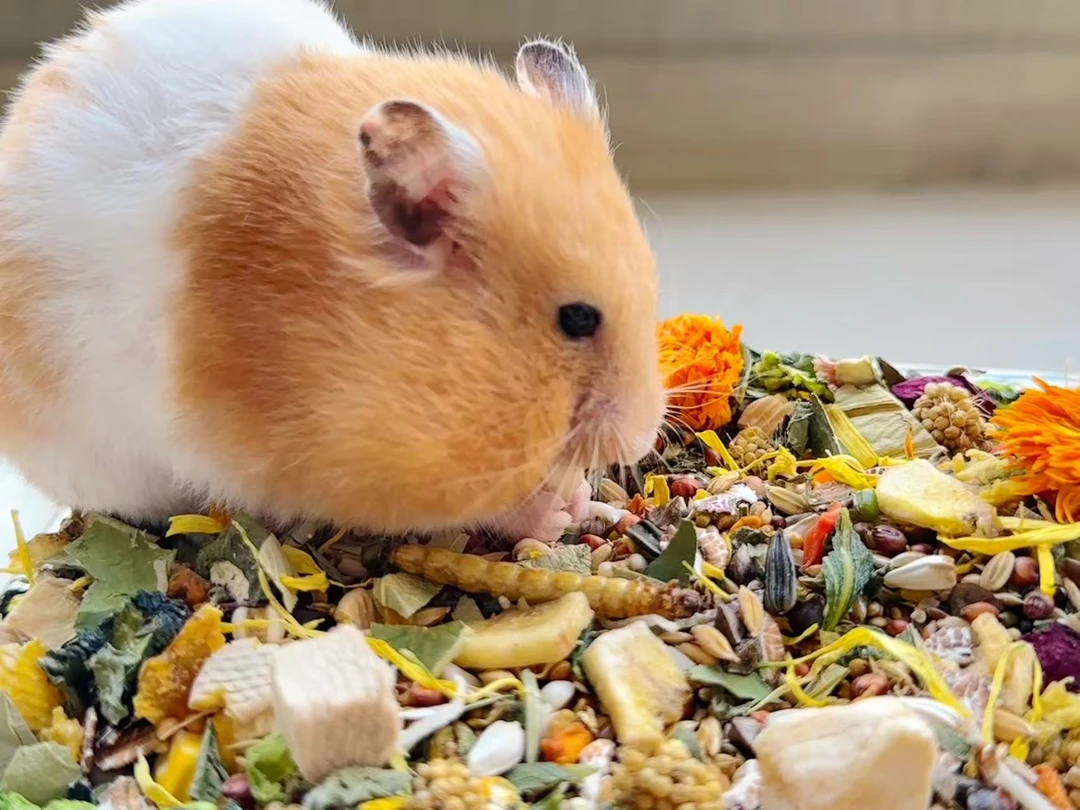 仓鼠粮食金丝熊专用自配粮营养长肉天然食材五谷冻干侏儒小宠主食