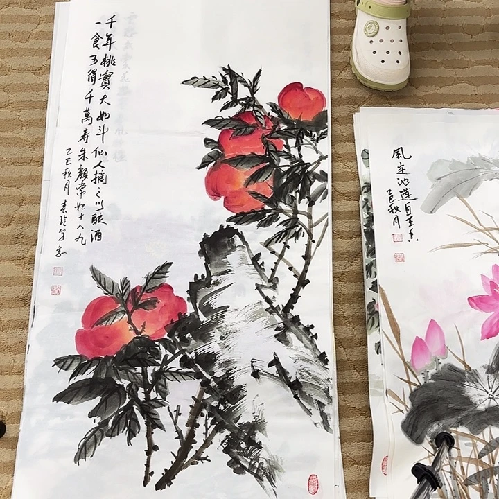 国画花鸟的翅膀和翅膀