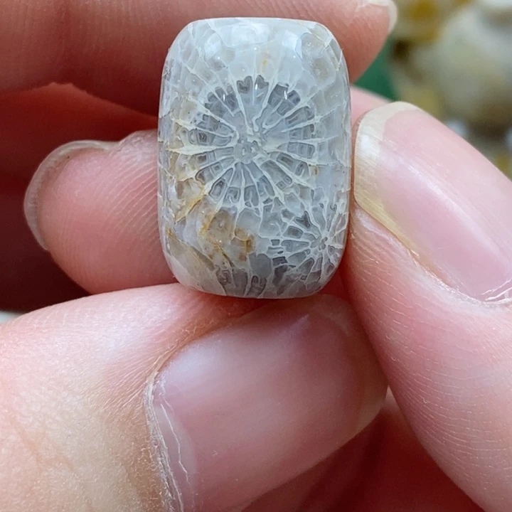 硅化珊瑚（珊瑚玉）颈饰未镶嵌桶珠