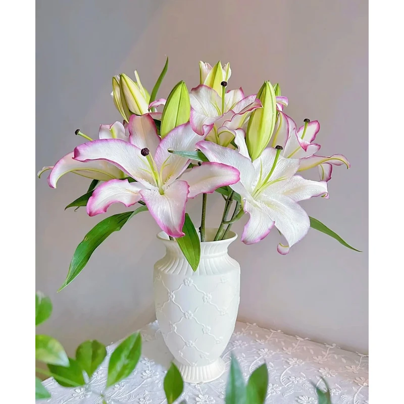 【唇彩】香水百合 一单包邮 云南鲜花昆明基地现采现发