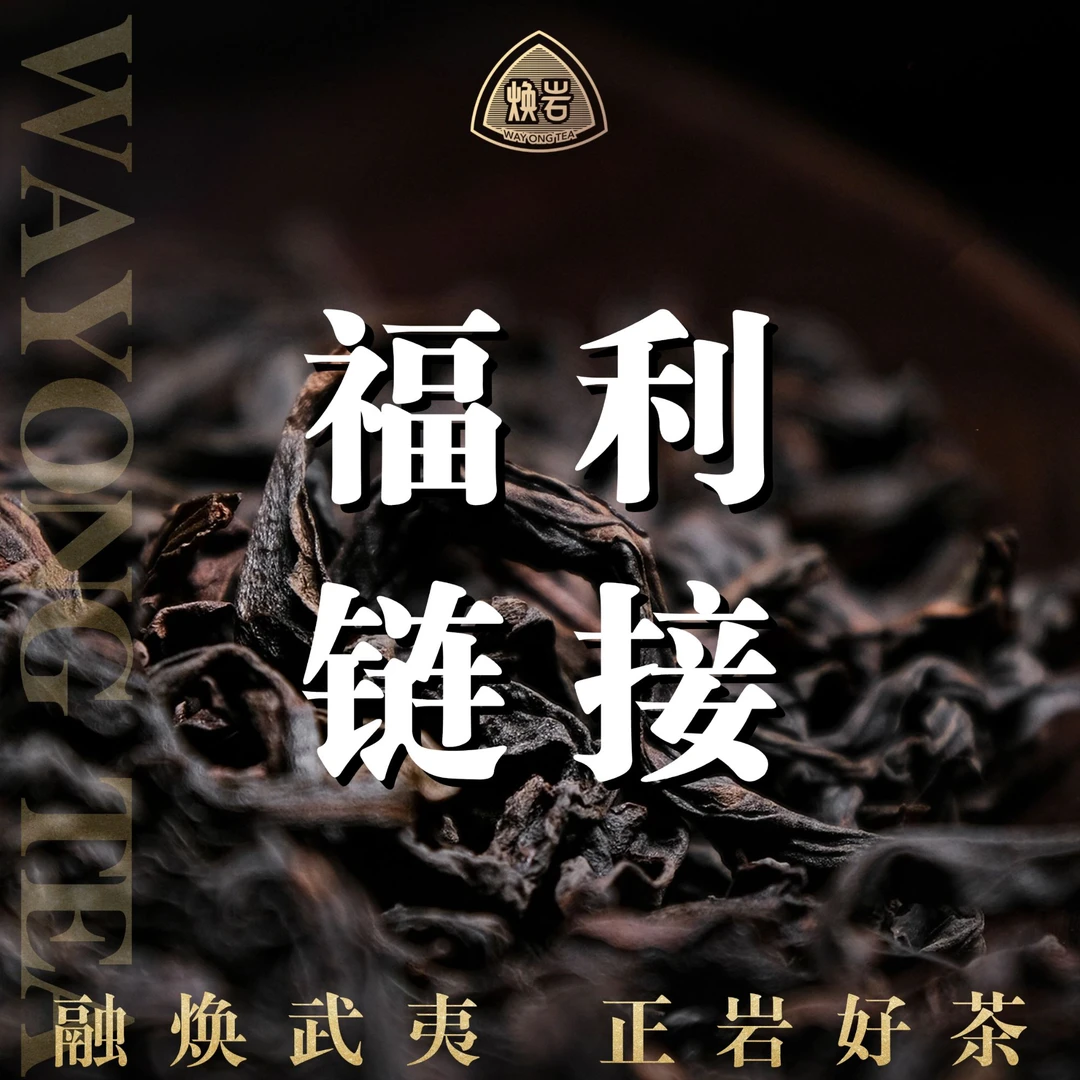 【老陈私房茶】2013年老枞水仙 中火偏下 1泡