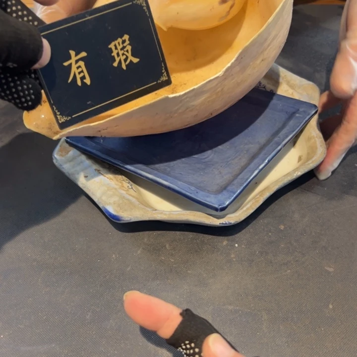 开****瓷片拾六家的瓷器瓷器