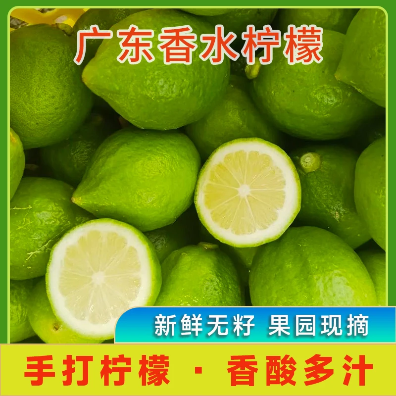 正宗广东香水柠檬新鲜青柠檬一级无籽果香多汁型山地果现摘