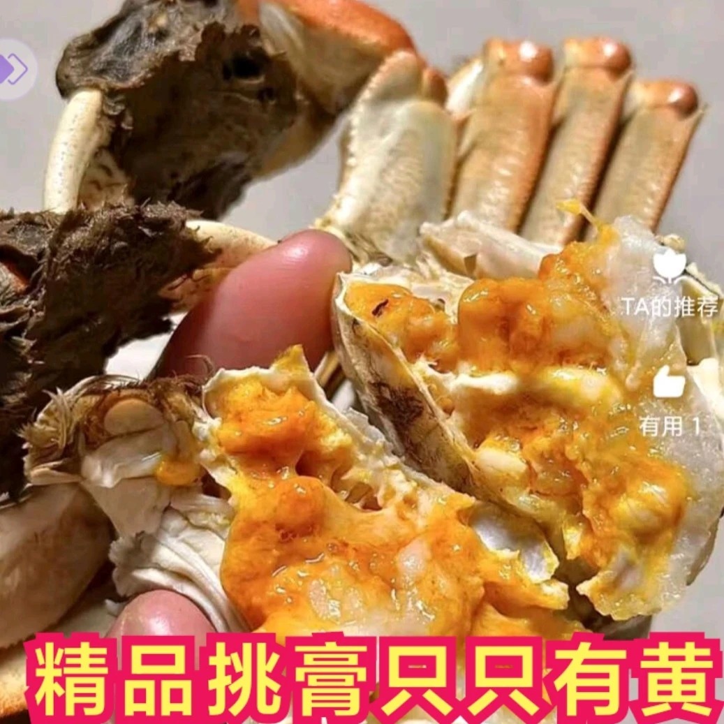 【全公蟹4.5两10只】活蟹现货大闸蟹10只4.5两公蟹包邮到家