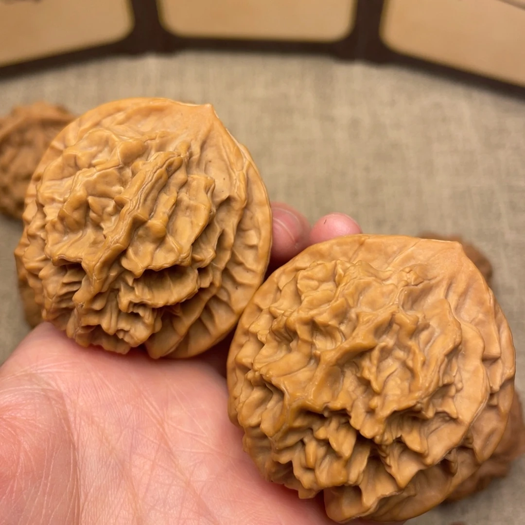 小***拾核桃秦岭核桃29号