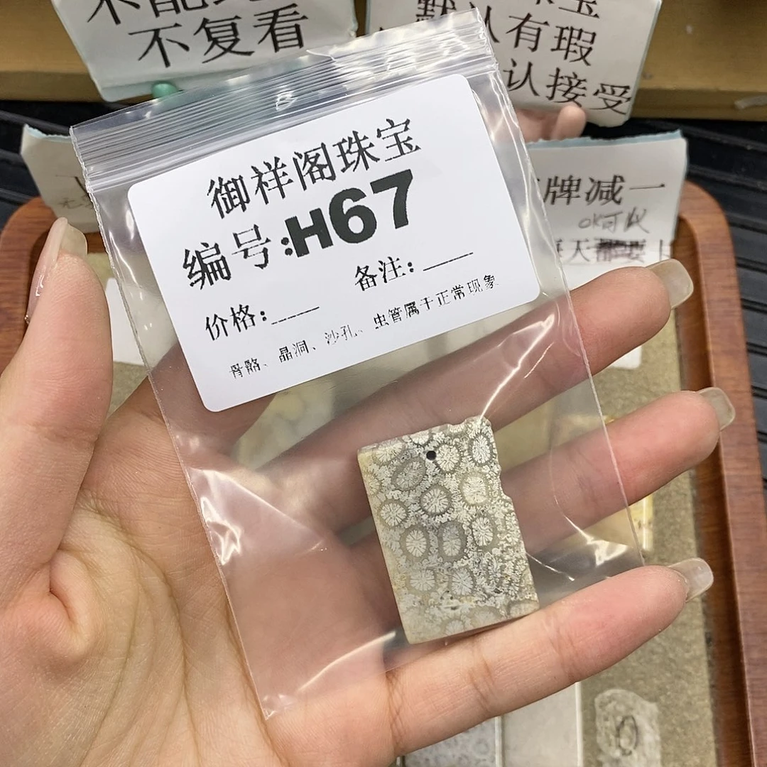 硅化珊瑚（珊瑚玉）未镶嵌颈饰活*