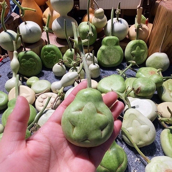 ****ᐝ葫芦山是个神奇之城