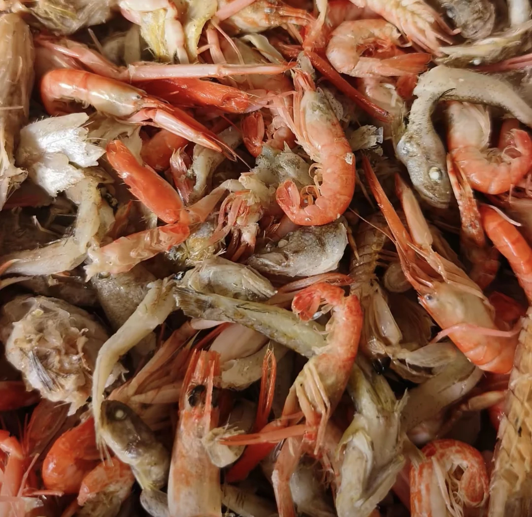 山东渤海湾鱼虾混合半干熟鱼二斤三斤
