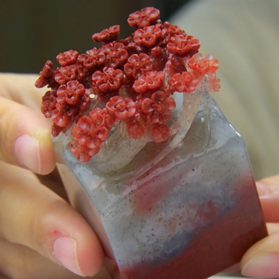 寿山石，梅花印章