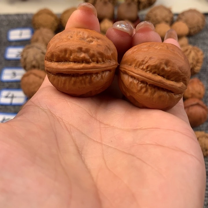 玉蝉。
