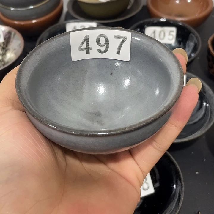 广***地茶盏497哈哈哈哈哈哈哈哈哈