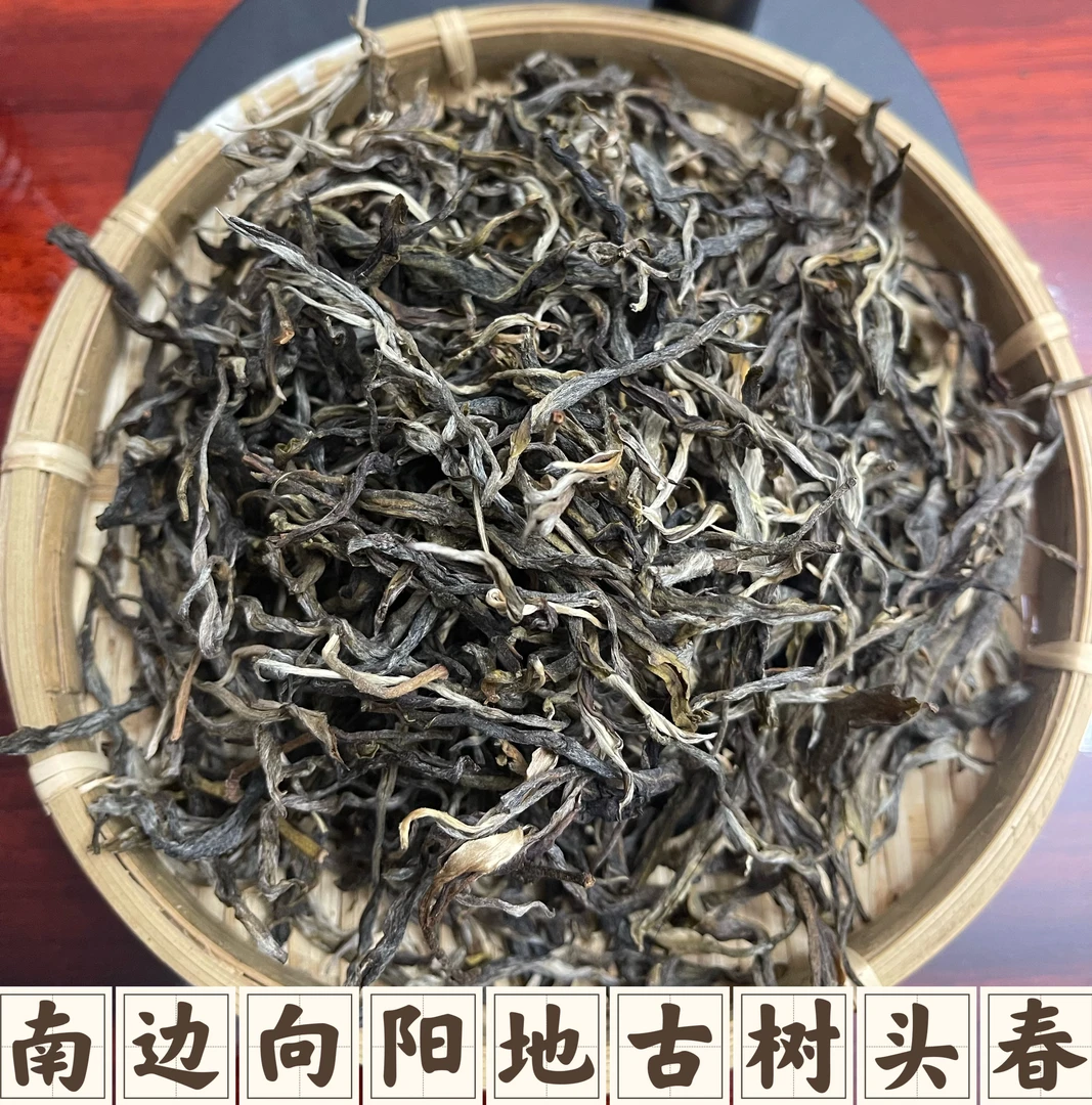 2025年  老班章南边向阳地 古树挑采头春 散茶 老班章148号