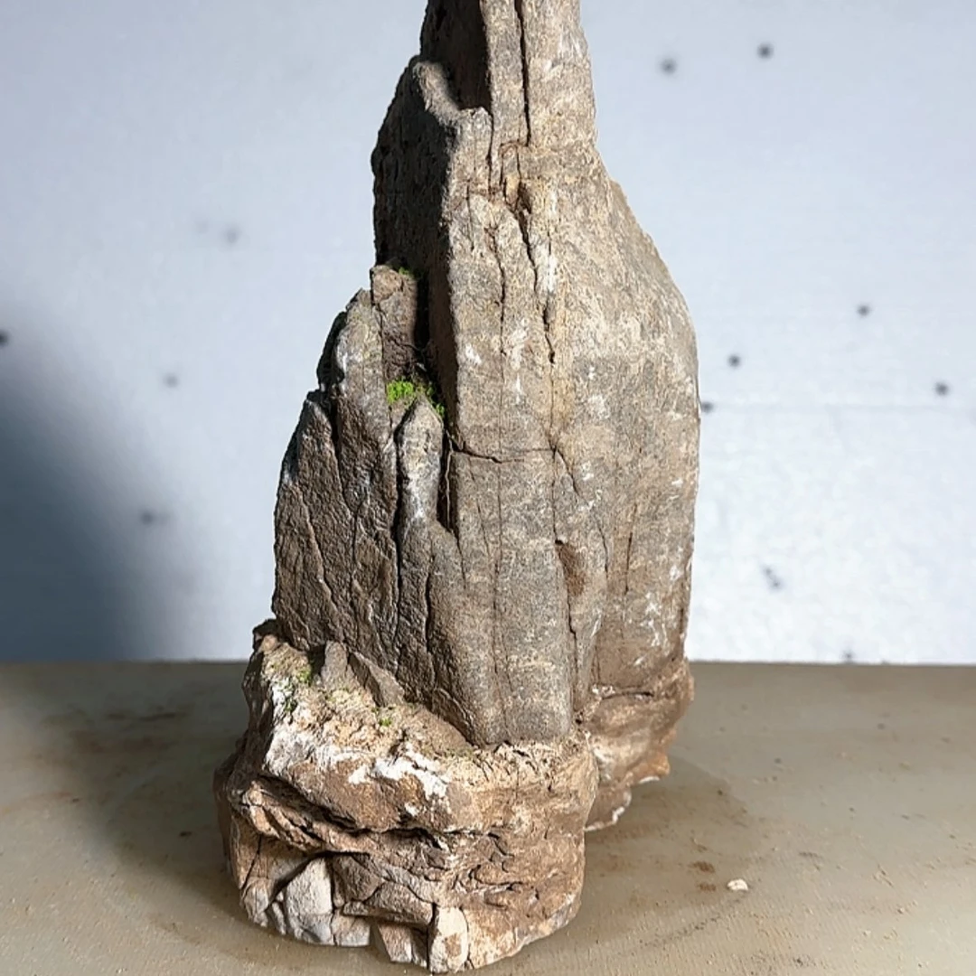 【闪购商品】香榧木【****张出汗的时候也会想起那些喜欢的人和