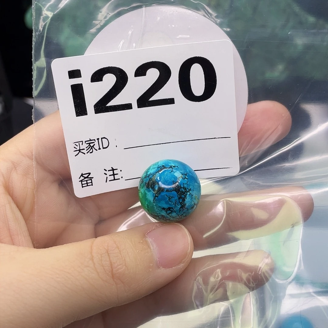 A空竹粉丝专享福利筱筱