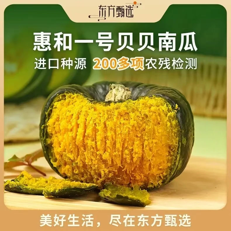 【东方甄选】惠和一号板栗贝贝南瓜粉糯香甜宝宝辅食粉甜贝贝南瓜