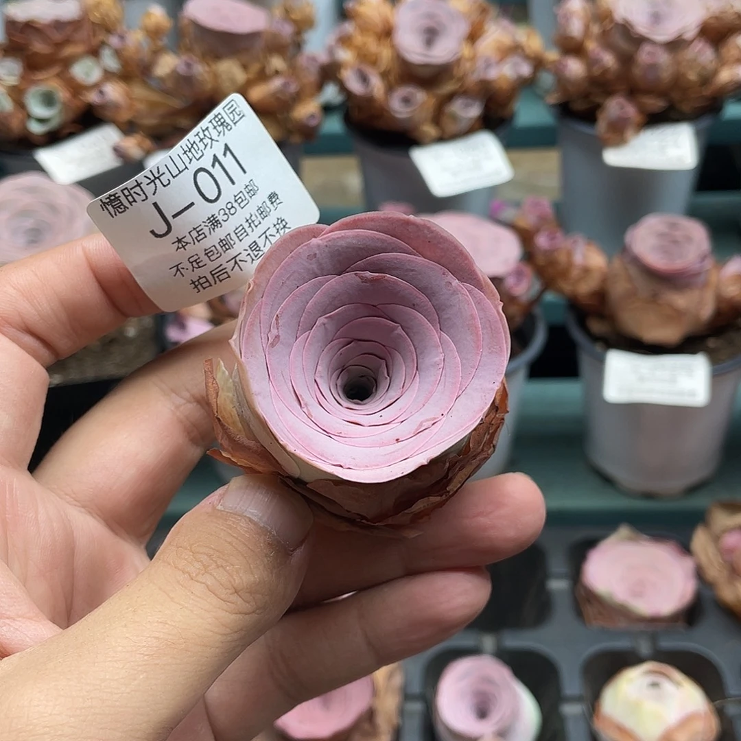 不知名福利011一物一拍