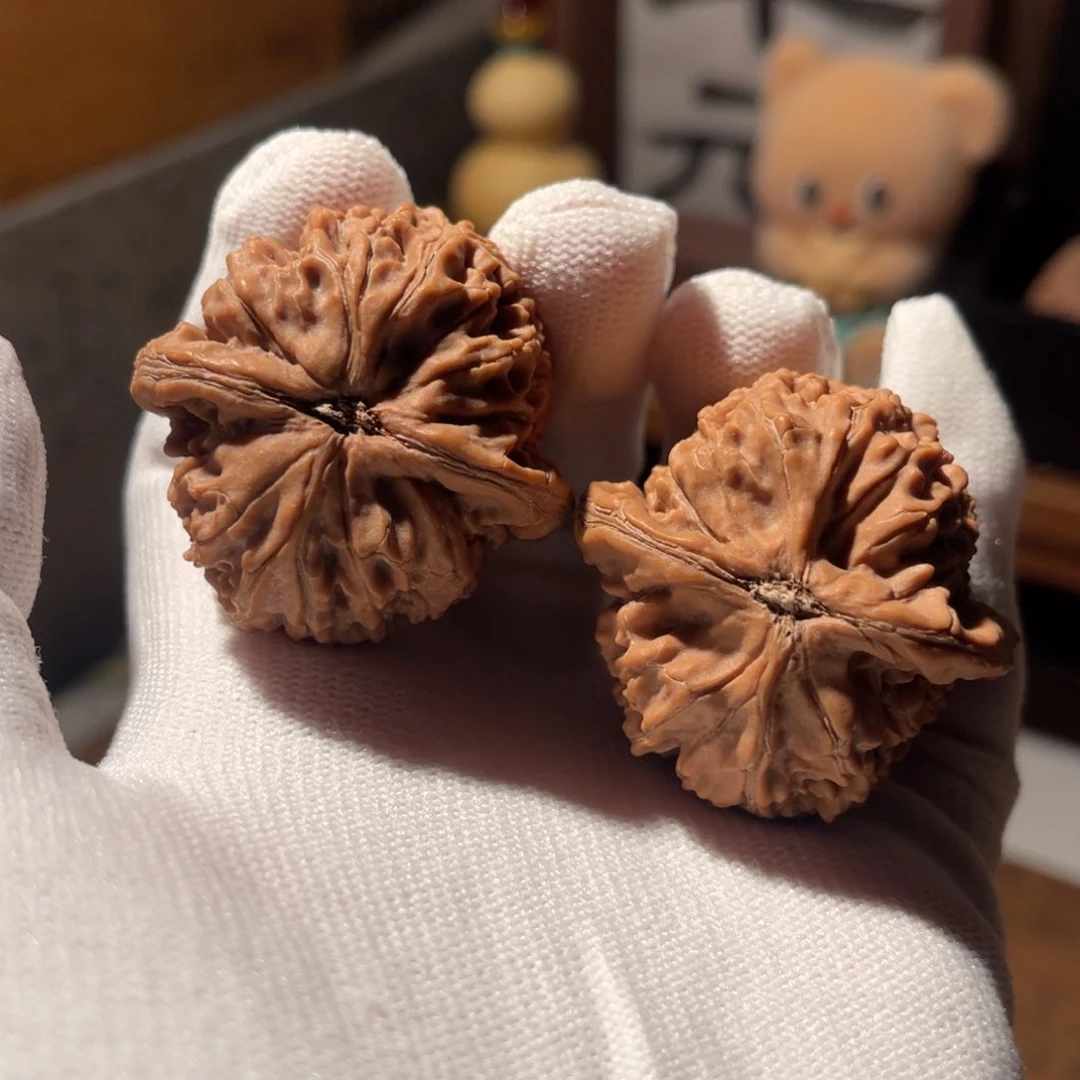 文玩核桃把件39 水龙全品，高差一个，不退不换